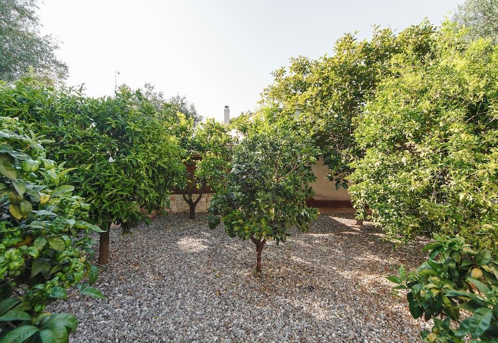 B&B Antico Ulivo Monopoli Εξωτερικό φωτογραφία